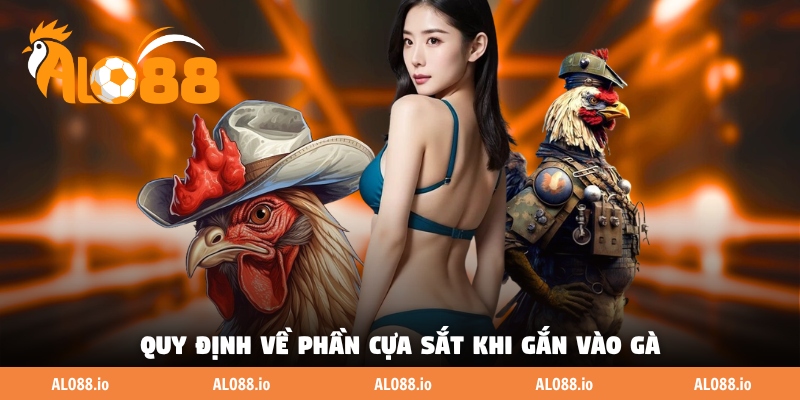 Quy định về phần cựa sắt khi gắn vào gà